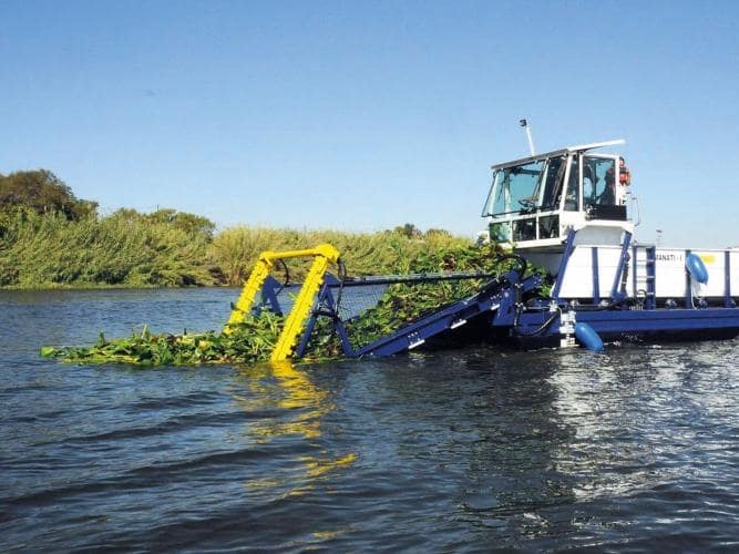 [Pan đồng hành cùng môi trường] Cứu môi trường biển là cứu kinh tế biển