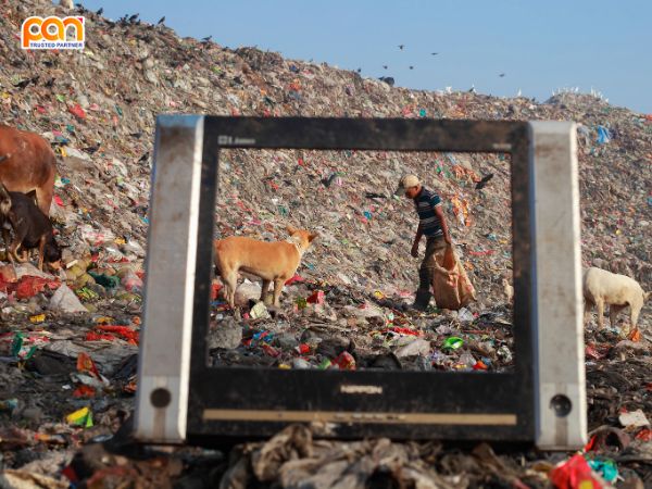 Các tác hại của ô nhiễm môi trường ảnh hưởng như thế nào?