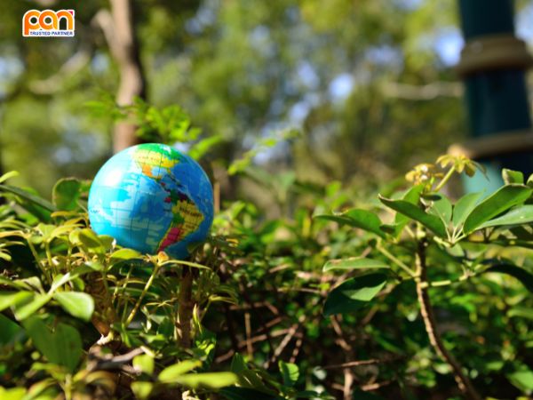 Bảo Vệ Môi Trường Là Gì? Ý Nghĩa và Trách Nhiệm