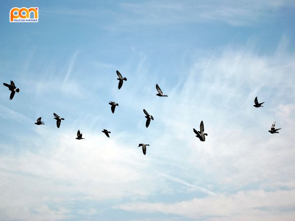 Tìm hiểu môi trường không khí là gì: Bảo vệ sức khỏe và hành tinh của bạn