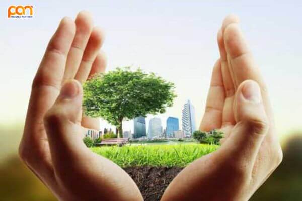 Sống xanh là gì? Lợi ích của lối sống xanh