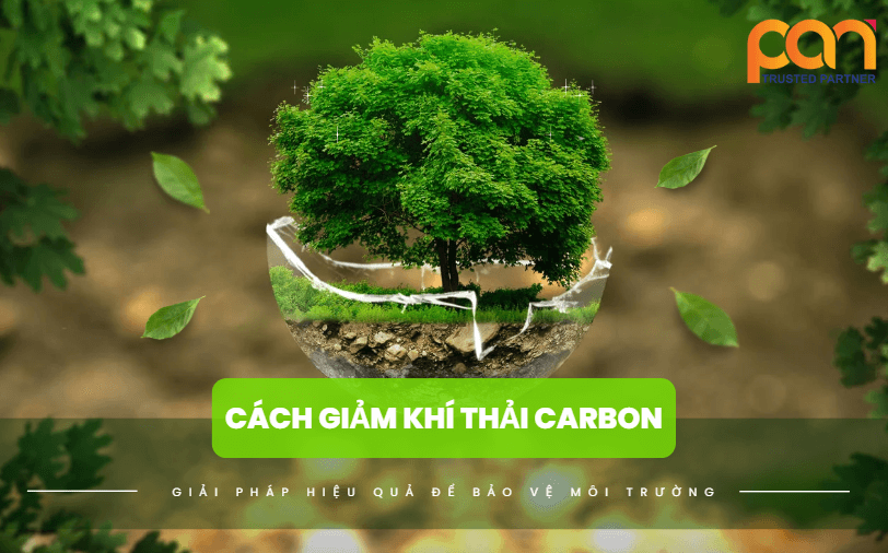 Cách giảm khí thải carbon - Giải pháp hiệu quả để bảo vệ môi trường