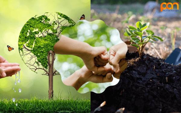 Tìm hiểu cách khắc phục ô nhiễm môi trường đất hiệu quả