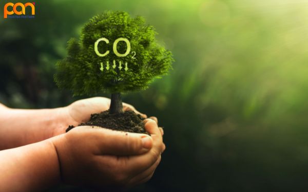 Lượng khí thải CO2 của Việt Nam năm 2024 - Con số đáng báo động!