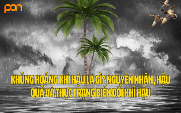 Khủng hoảng khí hậu là gì? Nguyên nhân, hậu quả và biện pháp ứng phó