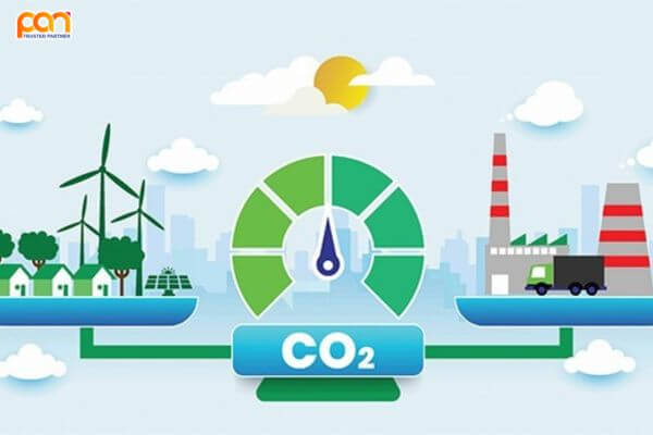 Vai trò của khí CO2