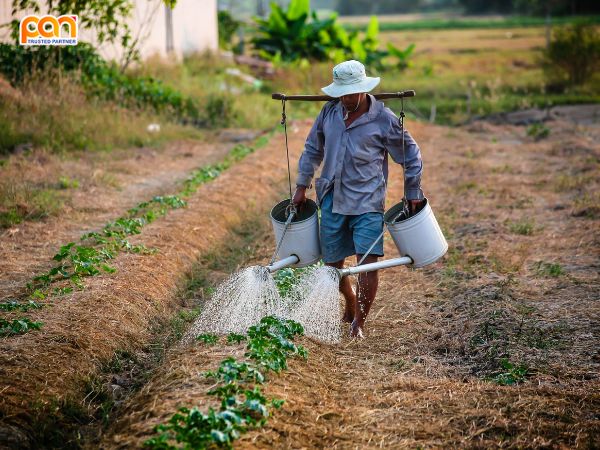 Mất cân bằng hệ sinh thái nông nghiệp