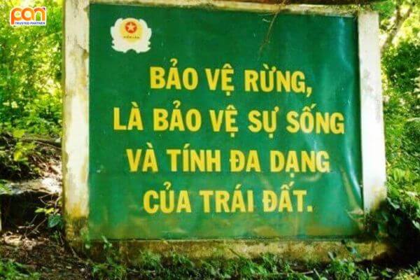 Bảo vệ rừng